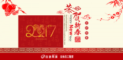 谷澍网域祝您新春快乐鸡年大吉暨放假通知